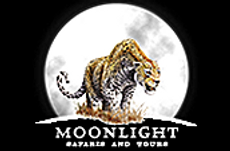 MOONLIGHT SAFARIS